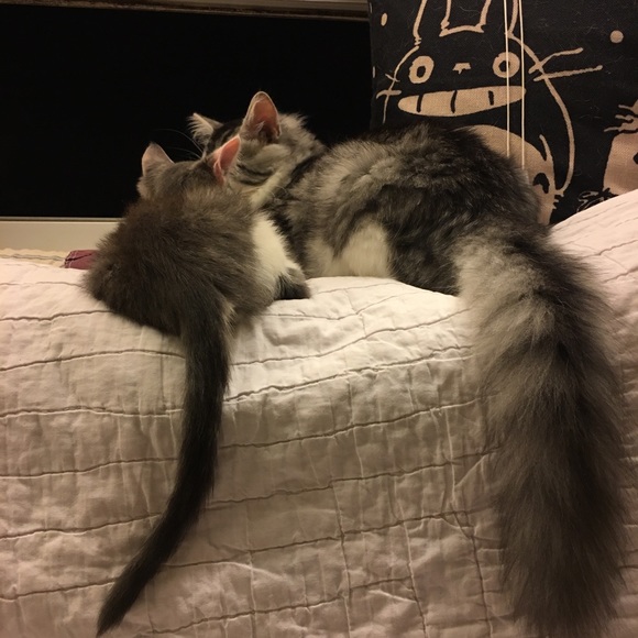 Meet Your Posher, Michelle - Picture 8 of 8